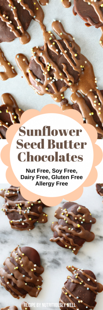dairy free sunbutter chocolate nutritiously well B