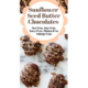 dairy free sunbutter chocolate nutritiously well WP