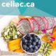 Canadian Celiac Association WP