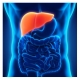 non alcoholic liver disease