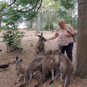 Sue and Kangaroos