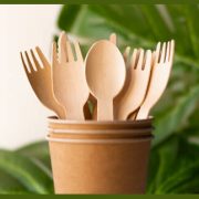 biodegradable-plant based-tableware-gluten wp