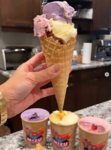 Mizu Real Fruit Ice Cream Food Trailer @ Various Locations